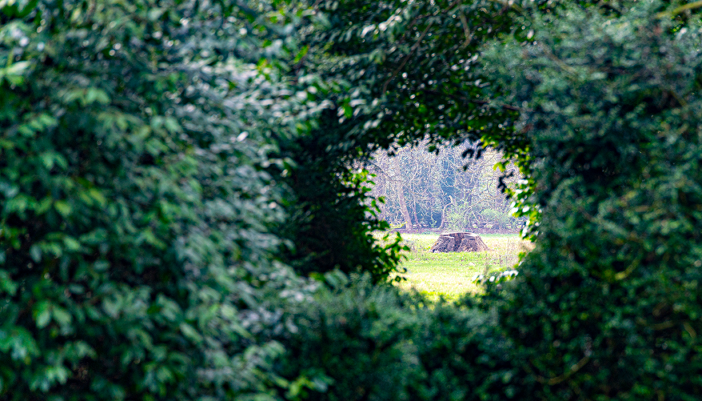 Bonds and Fixed Income: Where’s the Hedge?