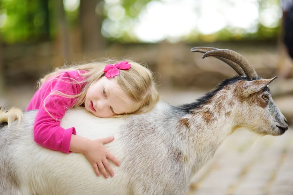 10 Pets That You’ll Learn Are Exceptionally Loyal