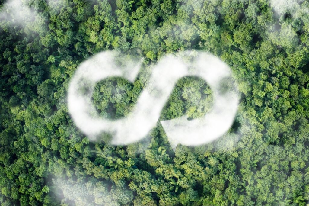 Why Businesses Must Lead the Charge in the Circular Economy